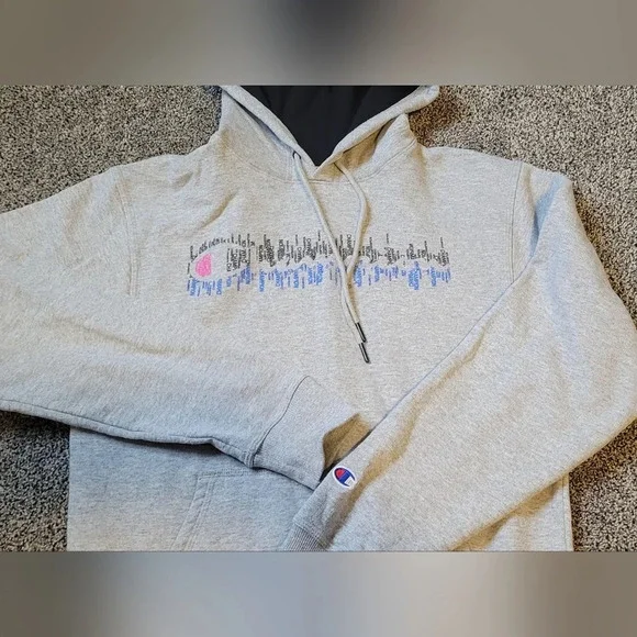 champion shop hooded pullover sweatshirt, unisex, size youth XLG/ adult sm, gray - Picture 3 of 8